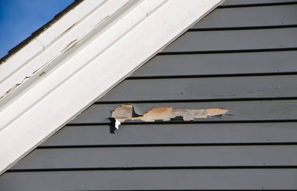 Best Vinyl Siding Installation  in Watsontown, PA